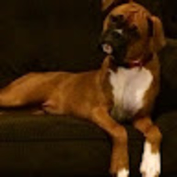 Meet your Posher, Renata - Picture 1 of 1